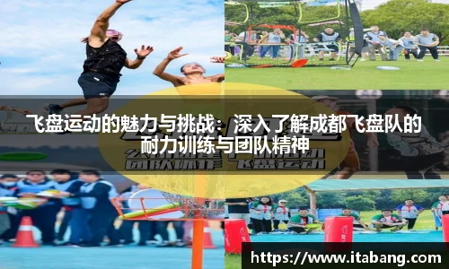 飞盘运动的魅力与挑战：深入了解成都飞盘队的耐力训练与团队精神